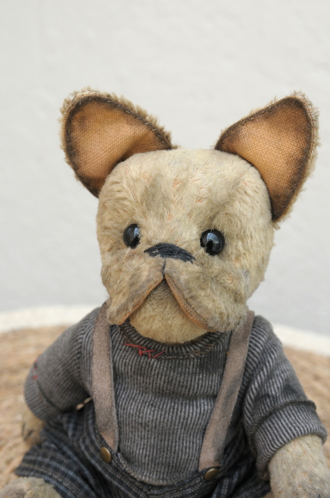 Bouledogue Français de P'tit Ours du Vexin